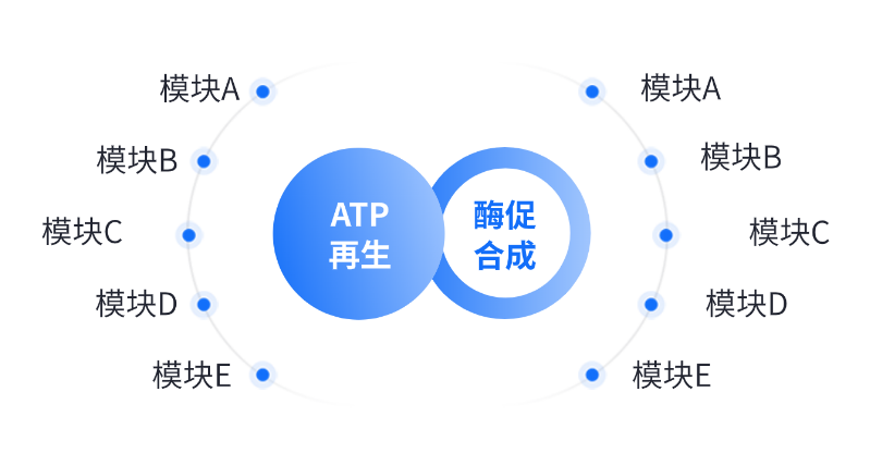 酶法生產(chǎn)應用領域