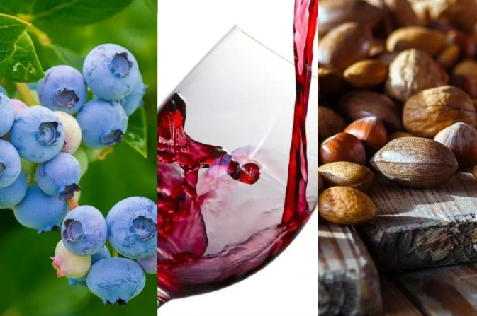 普通促智食物:以間接作用為主的溫和保護路徑 普通促智食物:以間接作用為主的溫和保護路徑