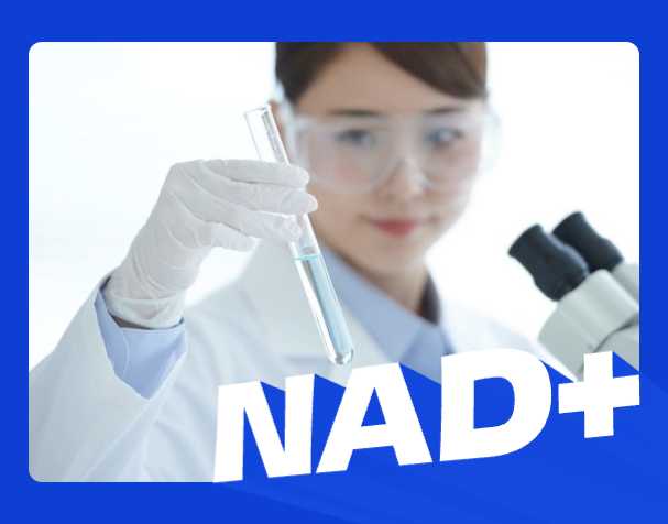 補NAD+，選對才有效