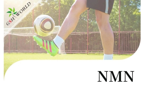 行業關注 - NMN對肌腱炎的抗氧化作用