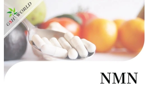 行業關注 - NMN潛在的抗衰老活性及其適用性