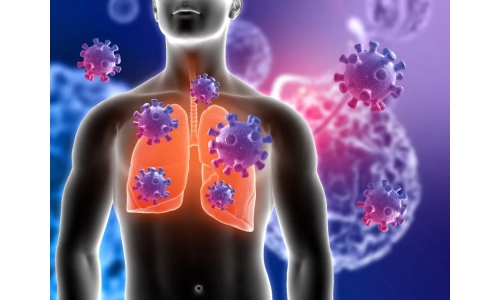 鐘南山：6月底將迎來二陽高峰！危害更大？NMN能有效抵御“二陽”！