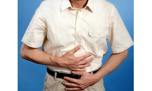 哪些成分對維護腸道健康有效？