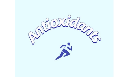 抗氧化補充劑影響脂肪組織