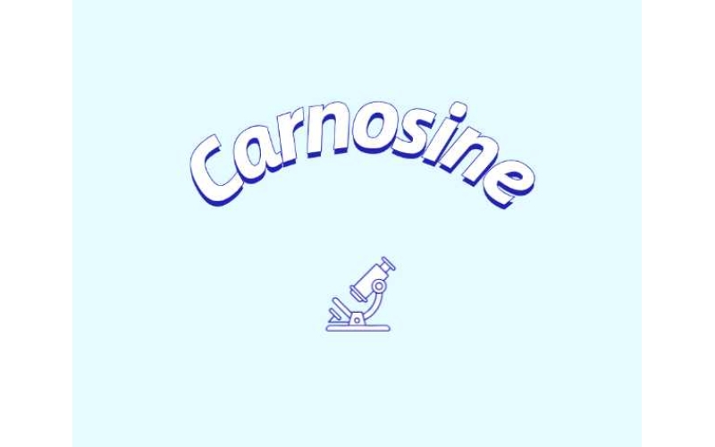 肌肽補充劑或可改善年輕群體認知